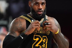 开云体育下载-鹈鹕队大将恢复状态，助力球队夺冠之路()