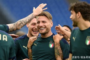 开云体育app-意大利击败威尔士，赢得小组头名()