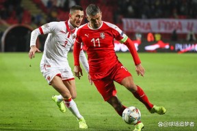 开云体育sports-克罗地亚客场击败威尔士成功晋级()