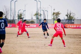 开云体育下载-不畏艰难，球队客场战胜对手名列前茅()