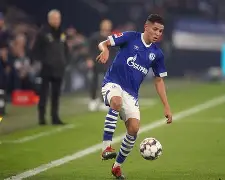 开云体育娱乐app-沙尔克vs  第2张