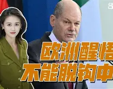 kaiyun app-纽卡斯尔胜负宝座，降级危机严重(纽卡斯托与惠灵顿凤凰比分预测分析)  第2张