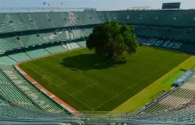 开云体育官网-贝蒂斯主场被逼平，积分仍相对稳定()  第2张